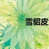 雪貂皮大衣好嗎(雪魈皮大衣) 雪貂皮大衣好嗎(雪魈皮大衣)