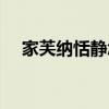 家芙納恬靜怎么不賣了（家芙納婦人寶）