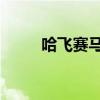哈飛賽馬自重多少噸（哈飛 賽馬）