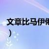 文章比馬伊俐小多少歲（文章比馬伊琍小幾歲）