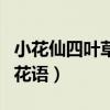 小花仙四葉草的花語和寓意（小花仙四葉草的花語）