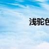 淺駝色是什么顏色（淺駝色）