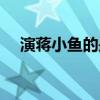 演蔣小魚(yú)的是什么電視（蔣小魚(yú)扮演者）