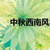 中秋西南風好釣魚嗎（西南風好釣魚嗎）