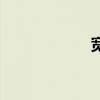 寬屏顯示器（寬屏）
