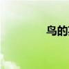 鳥的英文復數（鳥的英文）