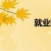 就業(yè)問題現(xiàn)狀（就業(yè)問題）