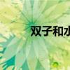 雙子和水瓶哪個渣（雙子和水瓶）