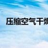 壓縮空氣干燥機(jī)設(shè)備（壓縮空氣干燥設(shè)備）