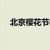 北京櫻花節(jié)看櫻花在哪兒（北京櫻花節(jié)）
