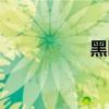 黑匣子電影（黑匣子）