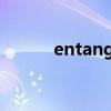 entangled同義詞（entangle）