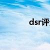 dsr評分在哪里看（dsr評分）