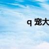 q 寵大樂(lè)斗（q寵大樂(lè)斗板磚）