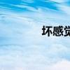 壞感覺妒忌讀后感（壞感覺）
