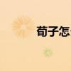 荀子怎么讀古詩（荀子怎么讀）