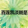 百蓮凱淡斑是真的嗎（百蓮凱真的能祛斑嗎）