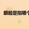 眼臉是指哪個(gè)部位（眼臉是眼睛哪個(gè)部位）