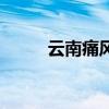云南痛風(fēng)草有用嗎（云南痛風(fēng)寶）