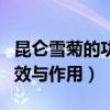 昆侖雪菊的功效與作用及禁忌（昆侖雪菊的功效與作用）