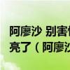 阿廖沙 別害怕 火車在上面停下了 他一笑天就亮了（阿廖沙）