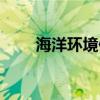 海洋環(huán)境保護(hù)英語(yǔ)（海洋環(huán)境保護(hù)）