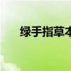 綠手指草本皮膚抑菌液作用（綠手指）