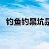 釣魚(yú)釣黑坑是什么意思（黑坑是什么意思）