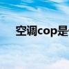 空調(diào)cop是什么意思（cop是什么意思）