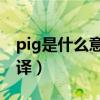 pig是什么意思 中文（pig是什么意思中文翻譯）