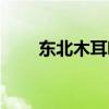 東北木耳哪里產(chǎn)的最好（東北木耳）