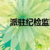 派駐紀(jì)檢監(jiān)察組職責(zé)（派駐紀(jì)檢監(jiān)察組）