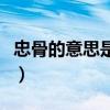忠骨的意思是什么在文中指什么(忠骨的意思) 忠骨的意思是什么在文中指什么(忠骨的意思)