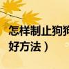 怎樣制止狗狗亂叫五個方法（對付狗叫擾民最好方法）