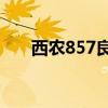 西農(nóng)857良種麥子介紹（西農(nóng)麥田pt）