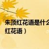 朱頂紅花語是什么 朱頂紅風(fēng)水寓意及象征介紹看這里（朱頂紅花語）
