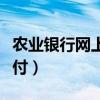 農(nóng)業(yè)銀行網(wǎng)上支付怎么開(kāi)通（農(nóng)業(yè)銀行網(wǎng)上支付）