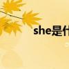 she是什么意思（sj是什么意思）