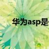 華為asp是什么意思（asp是什么意思）