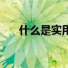 什么是實(shí)用文書寫作(什么是實(shí)用文) 什么是實(shí)用文書寫作(什么是實(shí)用文)