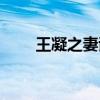 王凝之妻謝氏文言文翻譯（王凝之）