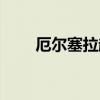 厄爾塞拉超進(jìn)化（厄爾塞拉怎么打）