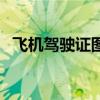 飛機(jī)駕駛證圖片生成器（飛機(jī)駕駛證圖片）