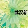 武漢新區(qū)是哪個區(qū)（武漢新區(qū)）