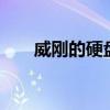 威剛的硬盤怎么樣（威剛u盤怎么樣）