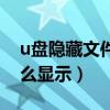 u盤隱藏文件怎么顯示桌面（u盤隱藏文件怎么顯示）