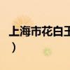 上海市花白玉蘭的象征意義（上海市花白玉蘭）