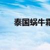泰國蝸牛霜有幾個牌子（泰國蝸牛霜）