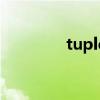 tuple乒乓球膠皮（tuple）
