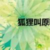 狐貍叫原唱在線試聽（狐貍叫原唱）